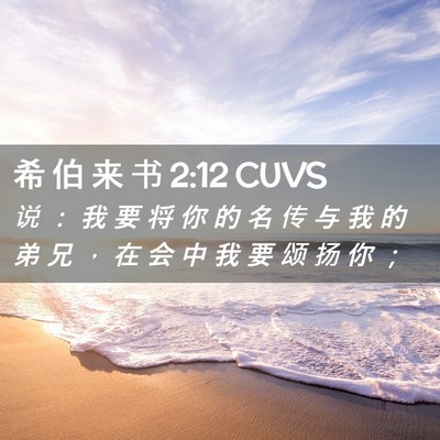 Picture 02 - 希 伯 来 书 2:12 CUVS - 说 ： 我 要 将 你 的 名 传 与 我 的 - Bible Verse Picture