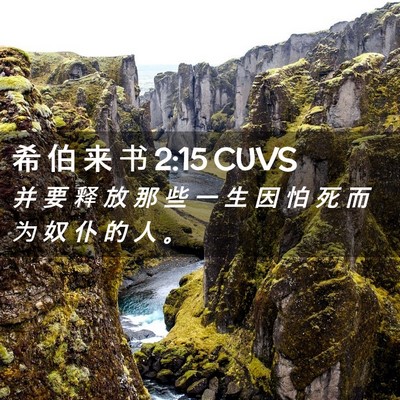 Picture 02 - 希 伯 来 书 2:15 CUVS - 并 要 释 放 那 些 一 生 因 怕 死 而 - Bible Verse Picture