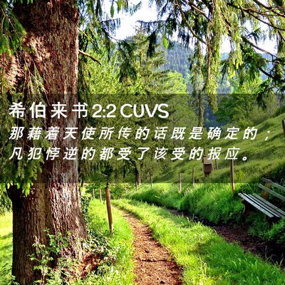Picture 02 - 希 伯 来 书 2:2 CUVS - 那 藉 着 天 使 所 传 的 话 既 是 确 - Bible Verse Picture