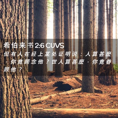 Picture 02 - 希 伯 来 书 2:6 CUVS - 但 有 人 在 经 上 某 处 证 明 说 ： - Bible Verse Picture