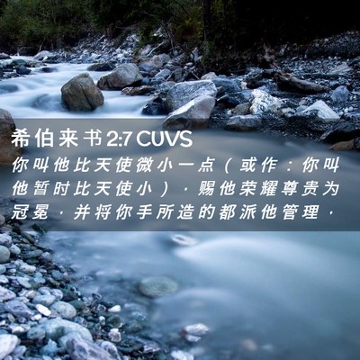 Picture 02 - 希 伯 来 书 2:7 CUVS - 你 叫 他 比 天 使 微 小 一 点 （ 或 - Bible Verse Picture