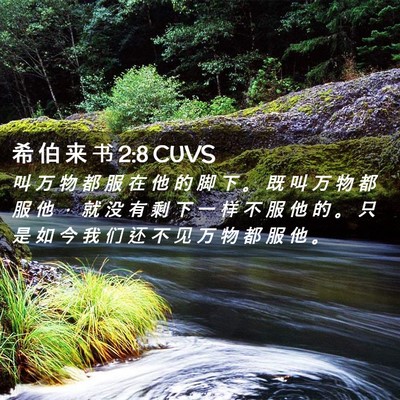 Picture 02 - 希 伯 来 书 2:8 CUVS - 叫 万 物 都 服 在 他 的 脚 下 。 既 - Bible Verse Picture