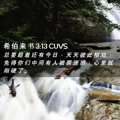 Picture 02 - 希 伯 来 书 3:13 CUVS - 总 要 趁 着 还 有 今 日 ， 天 天 彼 - Bible Verse Picture