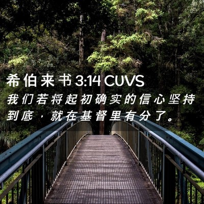Picture 02 - 希 伯 来 书 3:14 CUVS - 我 们 若 将 起 初 确 实 的 信 心 坚 - Bible Verse Picture