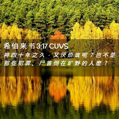 Picture 02 - 希 伯 来 书 3:17 CUVS - 神 四 十 年 之 久 ， 又 厌 烦 谁 呢 - Bible Verse Picture