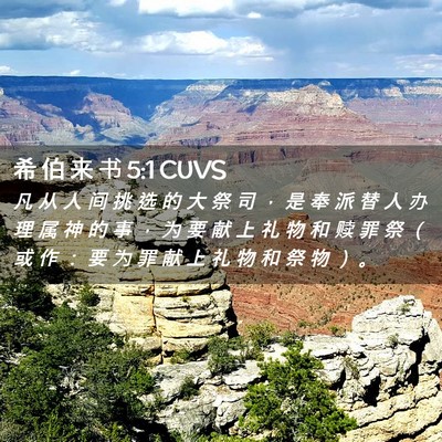Picture 02 - 希 伯 来 书 5:1 CUVS - 凡 从 人 间 挑 选 的 大 祭 司 ， 是 - Bible Verse Picture