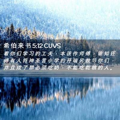 Picture 02 - 希 伯 来 书 5:12 CUVS - 看 你 们 学 习 的 工 夫 ， 本 该 作 - Bible Verse Picture