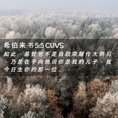 Picture 02 - 希 伯 来 书 5:5 CUVS - 如 此 ， 基 督 也 不 是 自 取 荣 耀 - Bible Verse Picture
