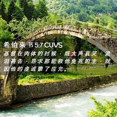Picture 02 - 希 伯 来 书 5:7 CUVS - 基 督 在 肉 体 的 时 候 ， 既 大 声 - Bible Verse Picture