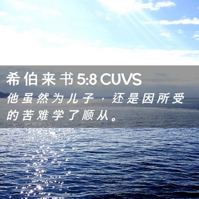 Picture 02 - 希 伯 来 书 5:8 CUVS - 他 虽 然 为 儿 子 ， 还 是 因 所 受 - Bible Verse Picture