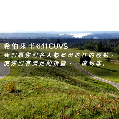 Picture 02 - 希 伯 来 书 6:11 CUVS - 我 们 愿 你 们 各 人 都 显 出 这 样 - Bible Verse Picture