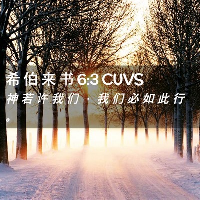 Picture 02 - 希 伯 来 书 6:3 CUVS - 神 若 许 我 们 ， 我 们 必 如 此 行 - Bible Verse Picture