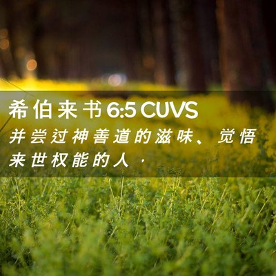 Picture 02 - 希 伯 来 书 6:5 CUVS - 并 尝 过 神 善 道 的 滋 味 、 觉 悟 - Bible Verse Picture
