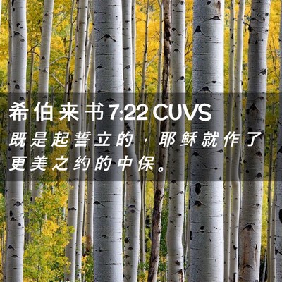 Picture 02 - 希 伯 来 书 7:22 CUVS - 既 是 起 誓 立 的 ， 耶 稣 就 作 了 - Bible Verse Picture