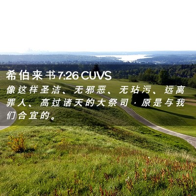 Picture 02 - 希 伯 来 书 7:26 CUVS - 像 这 样 圣 洁 、 无 邪 恶 、 无 玷 - Bible Verse Picture