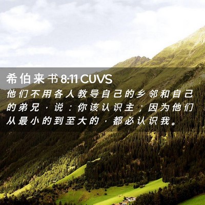 Picture 02 - 希 伯 来 书 8:11 CUVS - 他 们 不 用 各 人 教 导 自 己 的 乡 - Bible Verse Picture