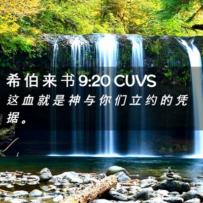 Picture 02 - 希 伯 来 书 9:20 CUVS - 这 血 就 是 神 与 你 们 立 约 的 凭 - Bible Verse Picture