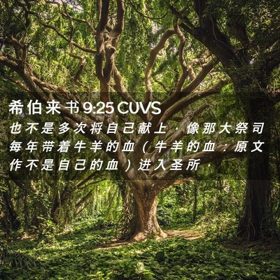 Picture 02 - 希 伯 来 书 9:25 CUVS - 也 不 是 多 次 将 自 己 献 上 ， 像 - Bible Verse Picture