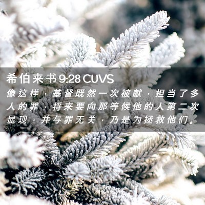 Picture 02 - 希 伯 来 书 9:28 CUVS - 像 这 样 ， 基 督 既 然 一 次 被 献 - Bible Verse Picture