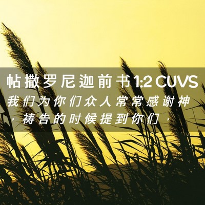 Picture 02 - 帖 撒 罗 尼 迦 前 书 1:2 CUVS - 我 们 为 你 们 众 人 常 常 感 谢 神 - Bible Verse Picture