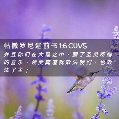 Picture 02 - 帖 撒 罗 尼 迦 前 书 1:6 CUVS - 并 且 你 们 在 大 难 之 中 ， 蒙 了 - Bible Verse Picture