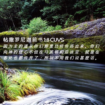 Picture 02 - 帖 撒 罗 尼 迦 前 书 1:8 CUVS - 因 为 主 的 道 从 你 们 那 里 已 经 - Bible Verse Picture