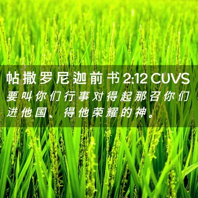 Picture 02 - 帖 撒 罗 尼 迦 前 书 2:12 CUVS - 要 叫 你 们 行 事 对 得 起 那 召 你 - Bible Verse Picture