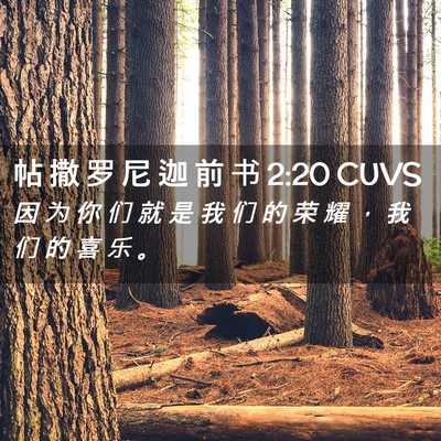 Picture 02 - 帖 撒 罗 尼 迦 前 书 2:20 CUVS - 因 为 你 们 就 是 我 们 的 荣 耀 ， - Bible Verse Picture