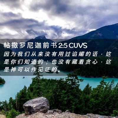 Picture 02 - 帖 撒 罗 尼 迦 前 书 2:5 CUVS - 因 为 我 们 从 来 没 有 用 过 谄 媚 - Bible Verse Picture