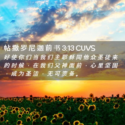 Picture 02 - 帖 撒 罗 尼 迦 前 书 3:13 CUVS - 好 使 你 们 当 我 们 主 耶 稣 同 他 - Bible Verse Picture