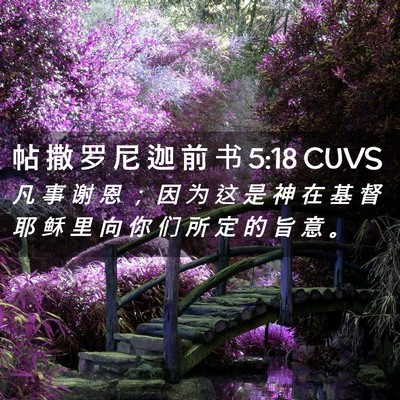 Picture 02 - 帖 撒 罗 尼 迦 前 书 5:18 CUVS - 凡 事 谢 恩 ； 因 为 这 是 神 在 基 - Bible Verse Picture