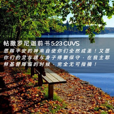 Picture 02 - 帖 撒 罗 尼 迦 前 书 5:23 CUVS - 愿 赐 平 安 的 神 亲 自 使 你 们 全 - Bible Verse Picture