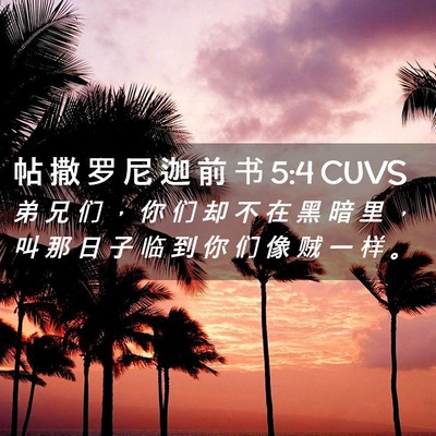 Picture 02 - 帖 撒 罗 尼 迦 前 书 5:4 CUVS - 弟 兄 们 ， 你 们 却 不 在 黑 暗 里 - Bible Verse Picture