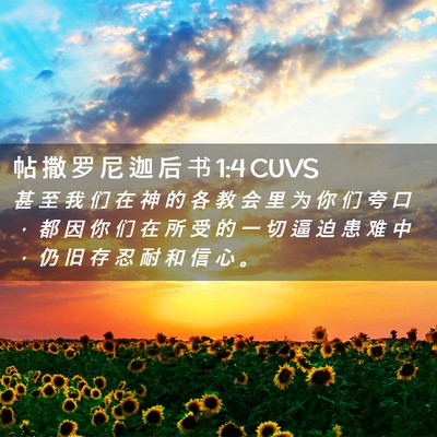 Picture 02 - 帖 撒 罗 尼 迦 后 书 1:4 CUVS - 甚 至 我 们 在 神 的 各 教 会 里 为 - Bible Verse Picture
