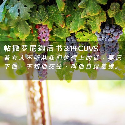 Picture 02 - 帖 撒 罗 尼 迦 后 书 3:14 CUVS - 若 有 人 不 听 从 我 们 这 信 上 的 - Bible Verse Picture