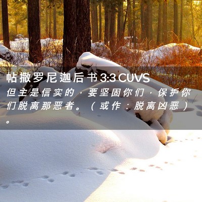 Picture 02 - 帖 撒 罗 尼 迦 后 书 3:3 CUVS - 但 主 是 信 实 的 ， 要 坚 固 你 们 - Bible Verse Picture
