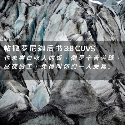 Picture 02 - 帖 撒 罗 尼 迦 后 书 3:8 CUVS - 也 未 尝 白 吃 人 的 饭 ， 倒 是 辛 - Bible Verse Picture