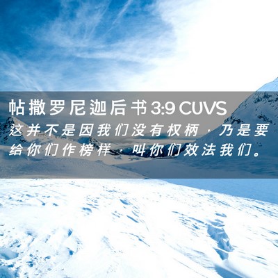 Picture 02 - 帖 撒 罗 尼 迦 后 书 3:9 CUVS - 这 并 不 是 因 我 们 没 有 权 柄 ， - Bible Verse Picture