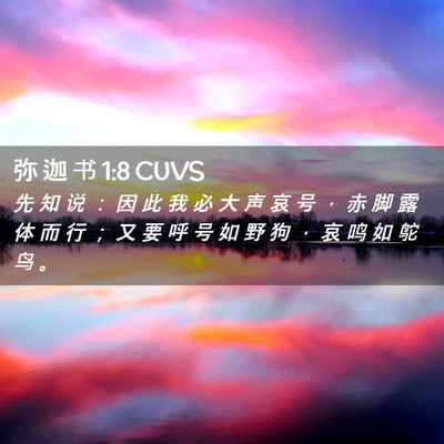 Picture 02 - 弥 迦 书 1:8 CUVS - 先 知 说 ： 因 此 我 必 大 声 哀 号 - Bible Verse Picture