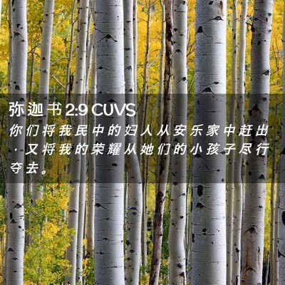 Picture 02 - 弥 迦 书 2:9 CUVS - 你 们 将 我 民 中 的 妇 人 从 安 乐 - Bible Verse Picture
