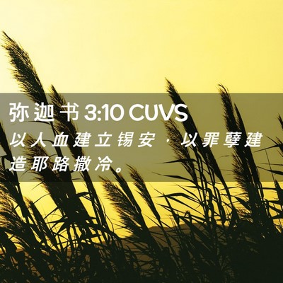 Picture 02 - 弥 迦 书 3:10 CUVS - 以 人 血 建 立 锡 安 ， 以 罪 孽 建 - Bible Verse Picture