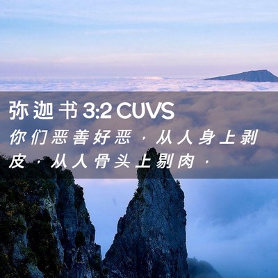 Picture 02 - 弥 迦 书 3:2 CUVS - 你 们 恶 善 好 恶 ， 从 人 身 上 剥 - Bible Verse Picture