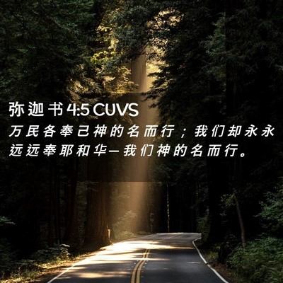 Picture 02 - 弥 迦 书 4:5 CUVS - 万 民 各 奉 己 神 的 名 而 行 ； 我 - Bible Verse Picture