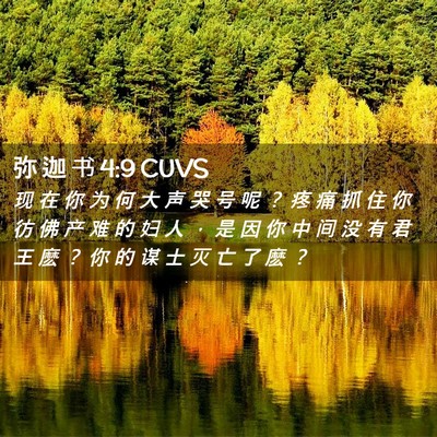 Picture 02 - 弥 迦 书 4:9 CUVS - 现 在 你 为 何 大 声 哭 号 呢 ？ 疼 - Bible Verse Picture