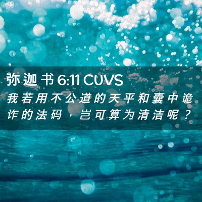 Picture 02 - 弥 迦 书 6:11 CUVS - 我 若 用 不 公 道 的 天 平 和 囊 中 - Bible Verse Picture