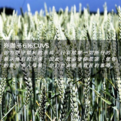 Picture 02 - 弥 迦 书 6:16 CUVS - 因 为 你 守 暗 利 的 恶 规 ， 行 亚 - Bible Verse Picture
