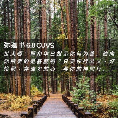 Picture 02 - 弥 迦 书 6:8 CUVS - 世 人 哪 ， 耶 和 华 已 指 示 你 何 - Bible Verse Picture