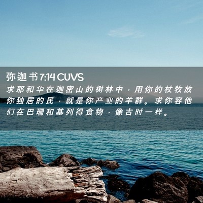 Picture 02 - 弥 迦 书 7:14 CUVS - 求 耶 和 华 在 迦 密 山 的 树 林 中 - Bible Verse Picture
