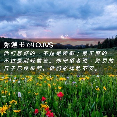 Picture 02 - 弥 迦 书 7:4 CUVS - 他 们 最 好 的 ， 不 过 是 蒺 藜 ； - Bible Verse Picture