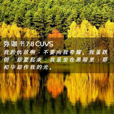 Picture 02 - 弥 迦 书 7:8 CUVS - 我 的 仇 敌 啊 ， 不 要 向 我 夸 耀 - Bible Verse Picture
